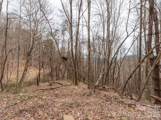 000 Sigogglin Road 17, Waynesville, NC 28786