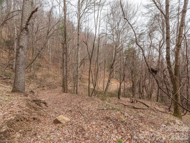 000 Sigogglin Road 17, Waynesville, NC 28786