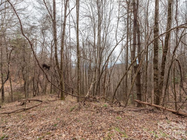000 Sigogglin Road 17, Waynesville, NC 28786