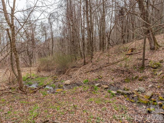 000 Sigogglin Road 17, Waynesville, NC 28786