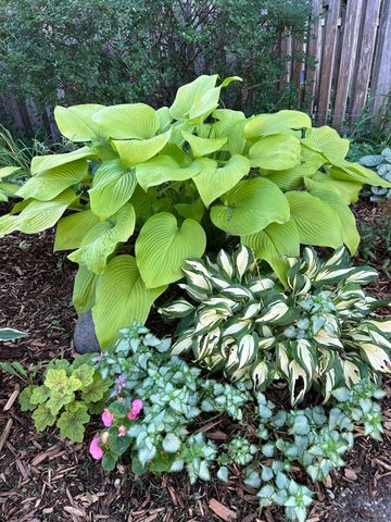 3588 Tiffany Lane, Shoreview, MN 55126