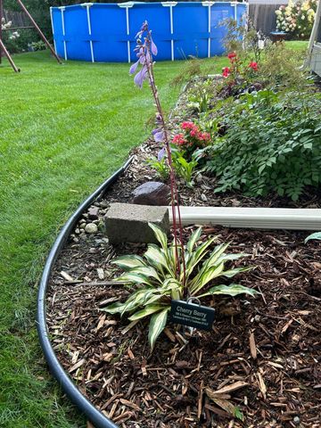 3588 Tiffany Lane, Shoreview, MN 55126