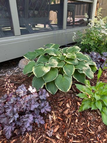 3588 Tiffany Lane, Shoreview, MN 55126