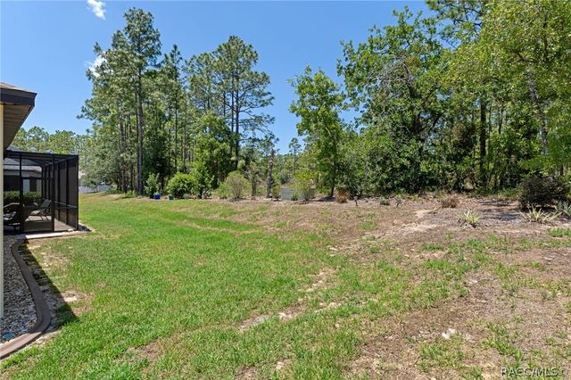 26 Fringetree Street, Homosassa, FL 34446