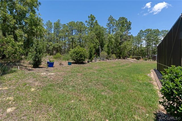 26 Fringetree Street, Homosassa, FL 34446