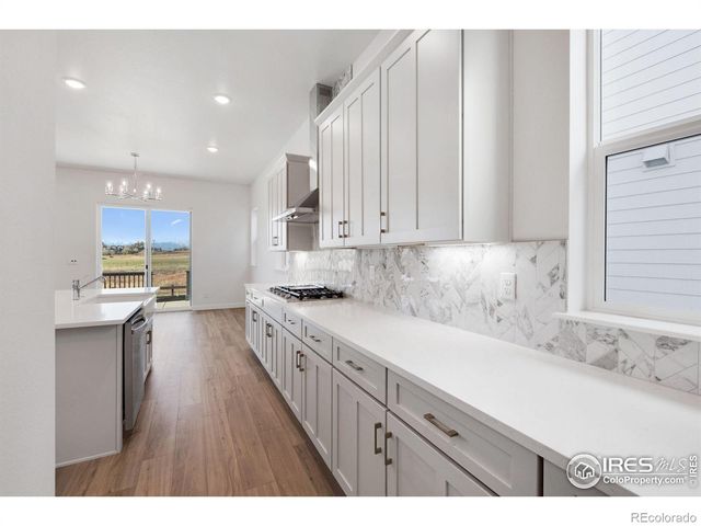 16873 Ballinger Circle, Mead, CO 80542