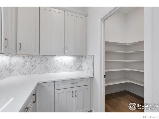 16873 Ballinger Circle, Mead, CO 80542