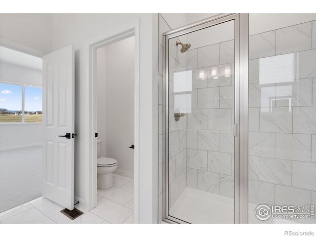 16873 Ballinger Circle, Mead, CO 80542