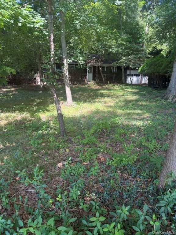 165 Hickory Lane, Smithtown, NY 11787 — photo 3