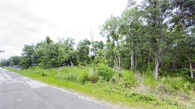 7402 LAND DRIVE, Wesley Chapel, FL 33545