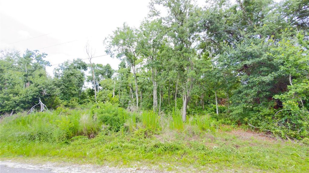 7402 LAND DRIVE, Wesley Chapel, FL 33545