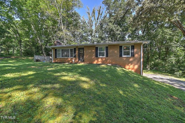 119 Lynnwood Drive, Gray, TN 37615