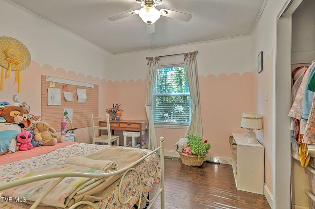 119 Lynnwood Drive, Gray, TN 37615