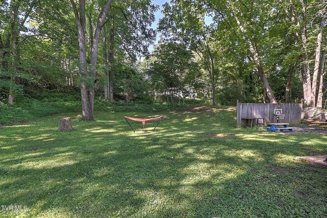 119 Lynnwood Drive, Gray, TN 37615