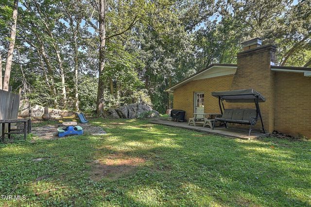 119 Lynnwood Drive, Gray, TN 37615