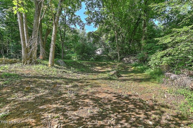 119 Lynnwood Drive, Gray, TN 37615