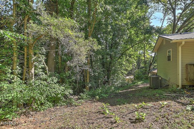 119 Lynnwood Drive, Gray, TN 37615