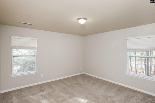 146 Whitton Court, Lexington, SC 29073