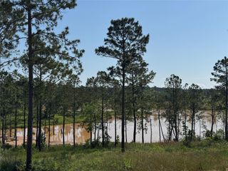 TBD Western Road, Livingston, TX 77351