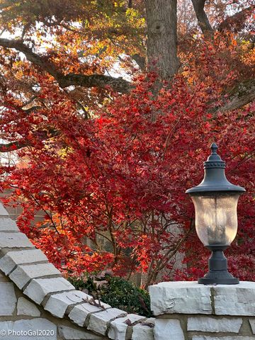 165 Lapier Street, Glencoe, IL 60022