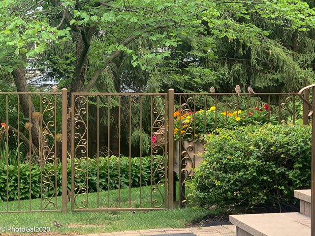 165 Lapier Street, Glencoe, IL 60022