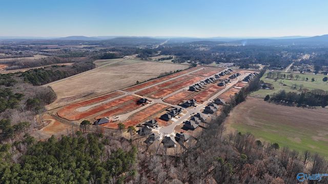 162 Virtue Way, Harvest, AL 35749
