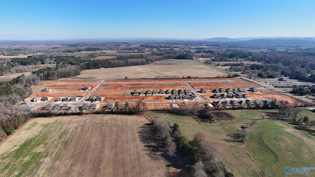 162 Virtue Way, Harvest, AL 35749