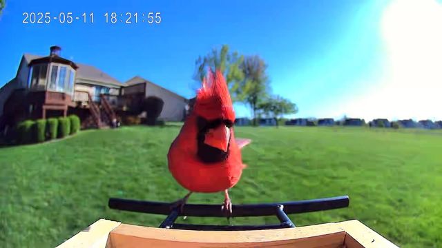 11104 Strathmore Court, Grand Blanc, MI 48439