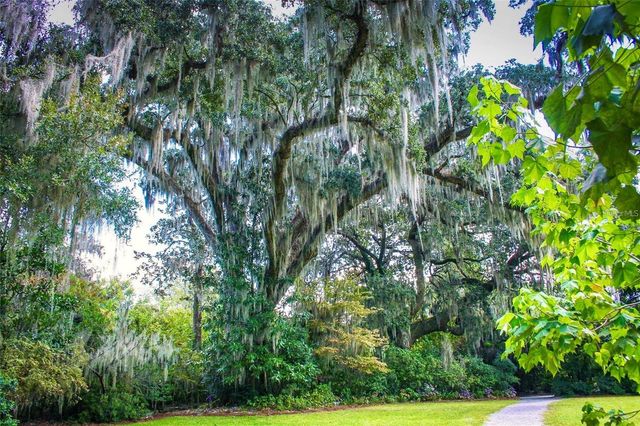 100 W RAILWAY AVENUE, Oakland, FL 34760