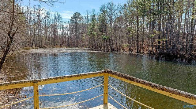 3301 County Road 106, Mentone, AL 35984