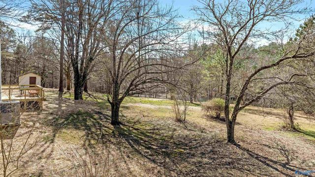 3301 County Road 106, Mentone, AL 35984