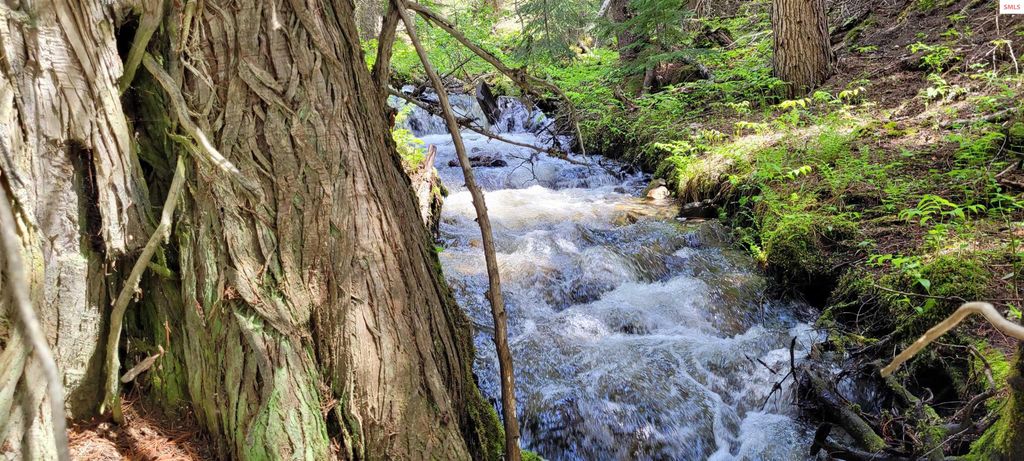 574 Poco Lobo Road, Troy, MT 59935