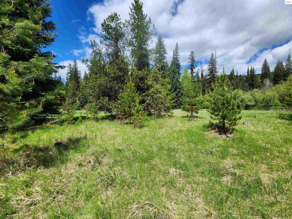 574 Poco Lobo Road, Troy, MT 59935 photo 11