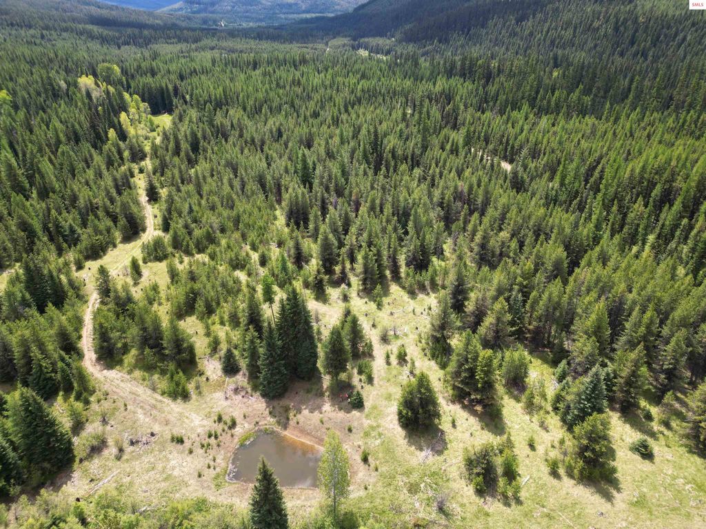 574 Poco Lobo Road, Troy, MT 59935 photo 12