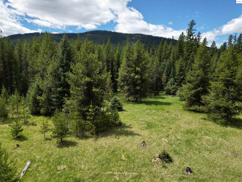 574 Poco Lobo Road, Troy, MT 59935 photo 17