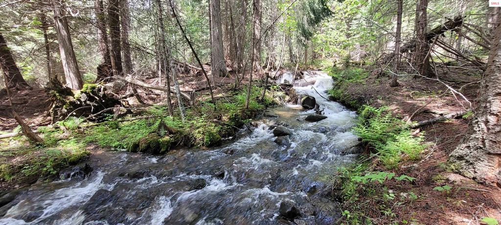 574 Poco Lobo Road, Troy, MT 59935 photo 2