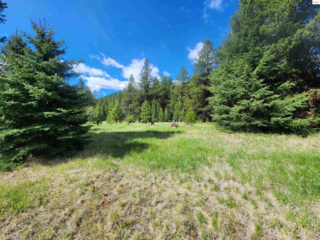 574 Poco Lobo Road, Troy, MT 59935 photo 4