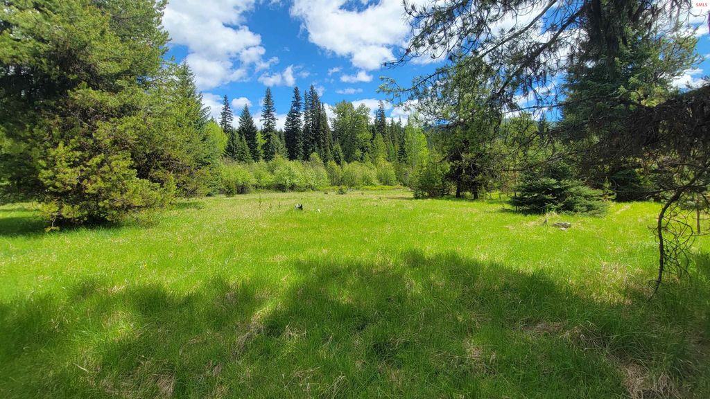 574 Poco Lobo Road, Troy, MT 59935 photo 6