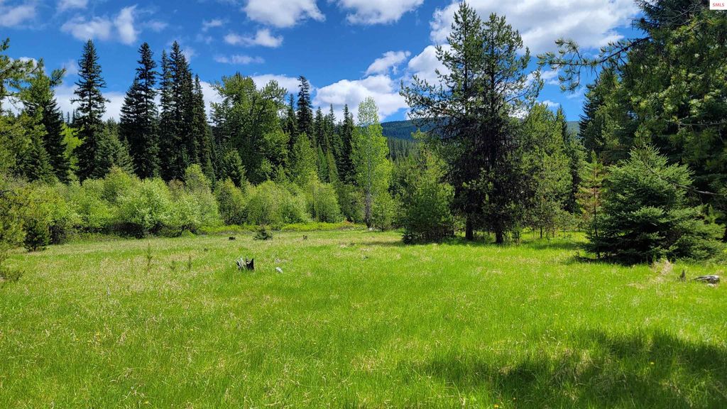 574 Poco Lobo Road, Troy, MT 59935 photo 7