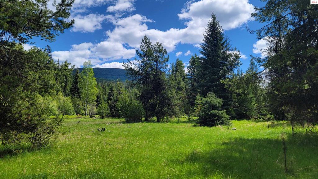 574 Poco Lobo Road, Troy, MT 59935 photo 8