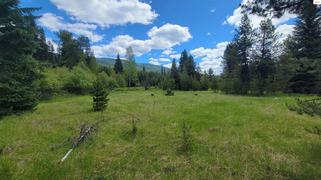 574 Poco Lobo Road, Troy, MT 59935 photo 9