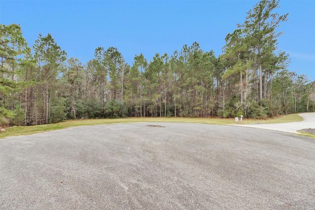 11464 Queensboro Court, Montgomery, TX 77316