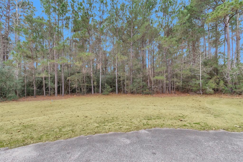 11464 Queensboro Court, Montgomery, TX 77316