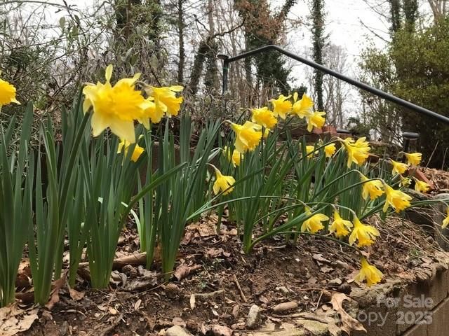 233 Rolling Drive, Waynesville, NC 28786