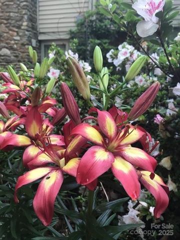 233 Rolling Drive, Waynesville, NC 28786