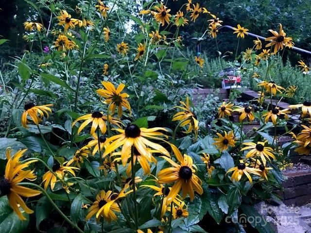 233 Rolling Drive, Waynesville, NC 28786