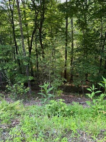 Lot 37 Quiet Waters Road, Murphy, NC 28906