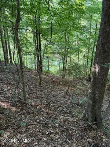 Lot 37 Quiet Waters Road, Murphy, NC 28906