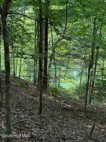 Lot 37 Quiet Waters Road, Murphy, NC 28906