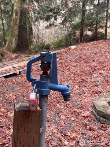 30 N Discovery Place, Hoodsport, WA 98548